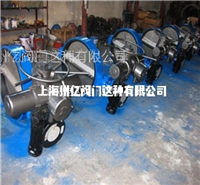 電動(dòng)對(duì)夾軟密封蝶閥